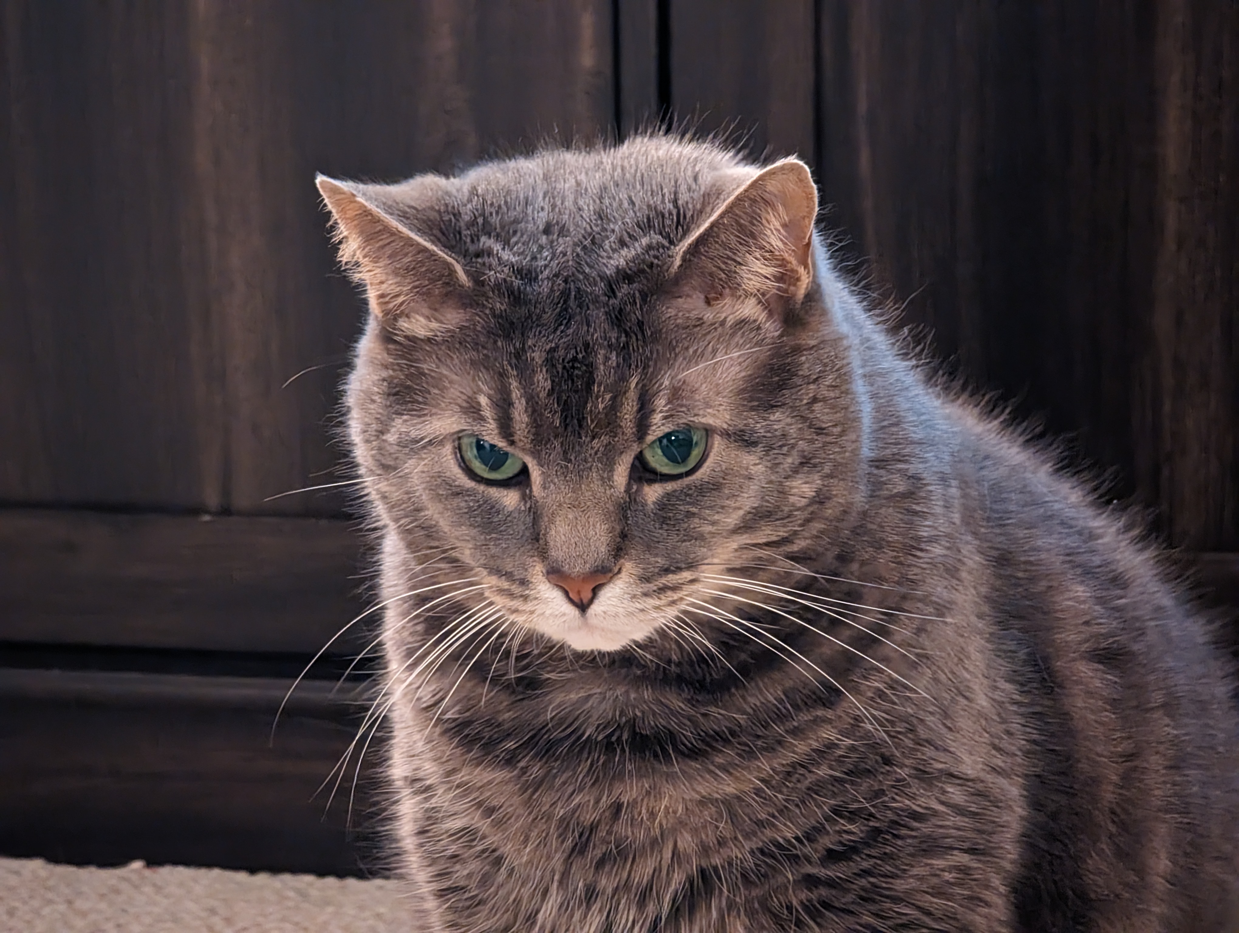 Dexter giving a stern look